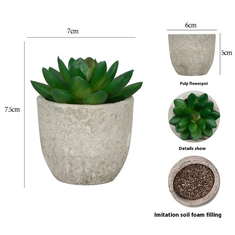 24Pcs Echeveria Simulation Succulents Evergreen Mini Bonsai Fake Plant Desktop Decor