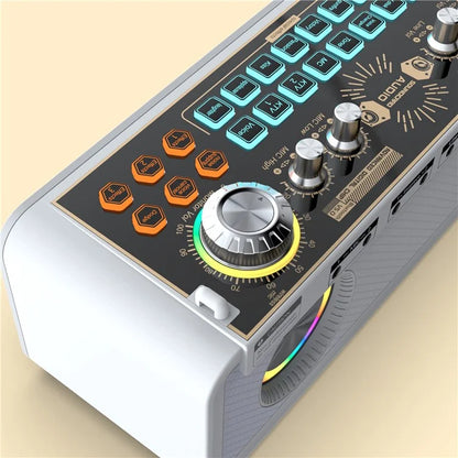 x10 Bluetooth Speaker Outdoor Live Broadcast Sound Card Machine with Microphone