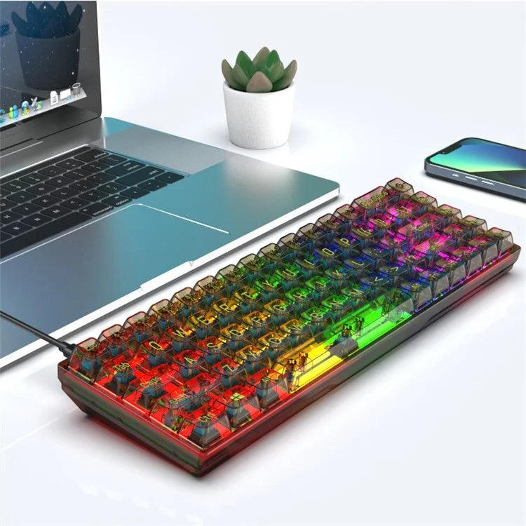 Y-FRUITFUL K60 68 Keys Type-C Wired Mechanical Keyboard RGB Light Transparent Keycaps Gaming Keyboard