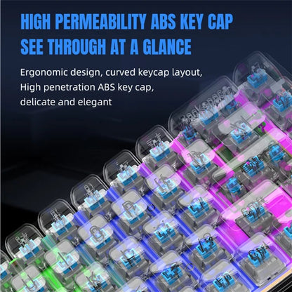 Y-FRUITFUL K60 68 Keys Type-C Wired Mechanical Keyboard RGB Light Transparent Keycaps Gaming Keyboard