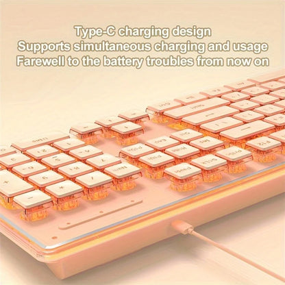 EWEADN V3 Home Office Computer Laptop Mute Keyboard USB Wired Backlit Keyboard