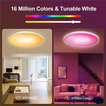 LED Ceiling Light Adjustable 48W EU Plug Smart Night Light Lamp for Living Bed Dining Room House