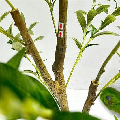 120cm Artificial Olive Tree Natural Wood Trunk Simulated Potted Plant Home Floor Decoration