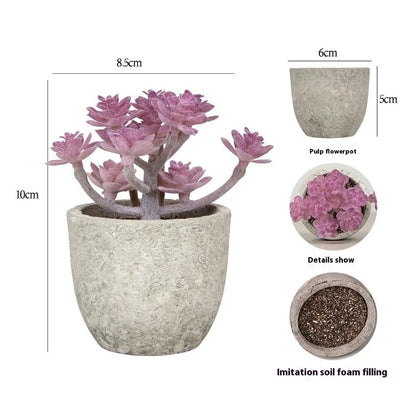 24Pcs Cactaceae Simulation Succulents Mini Bonsai Fake Plant Desktop Decor