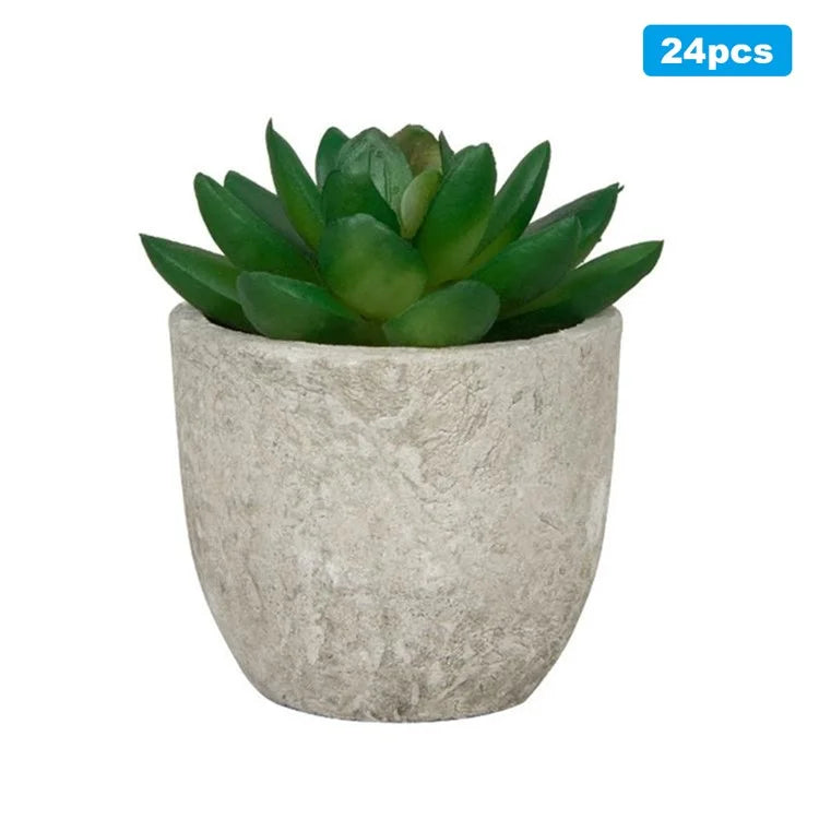 24Pcs Echeveria Simulation Succulents Evergreen Mini Bonsai Fake Plant Desktop Decor