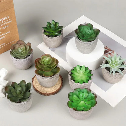 24Pcs Echeveria Simulation Succulents Evergreen Mini Bonsai Fake Plant Desktop Decor
