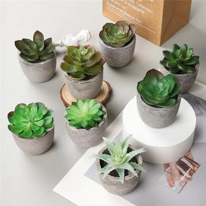 24Pcs Echeveria Simulation Succulents Evergreen Mini Bonsai Fake Plant Desktop Decor