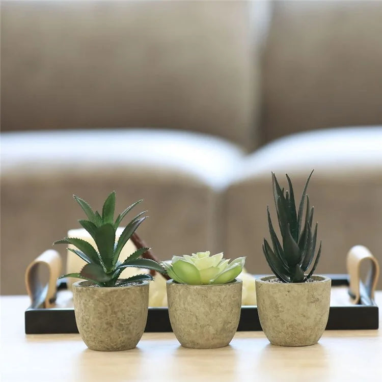 24Pcs Aloe Vera Simulation Succulents Mini Bonsai Fake Plant Desktop Decor