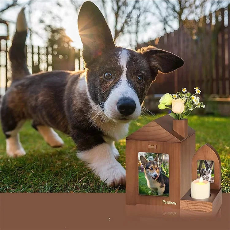 Solid Wood Photo Frame Pet Cremation Ash Urn Cat Dog Keepsake Memory Box Remembrance Gift