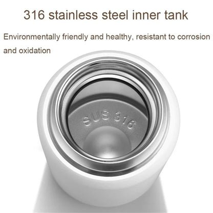 300ml 316 Stainless Steel Insulated Cup Hammered Texture Lid Water Bottle with Tea Strainer (BPA-Free, No FDA Certification)