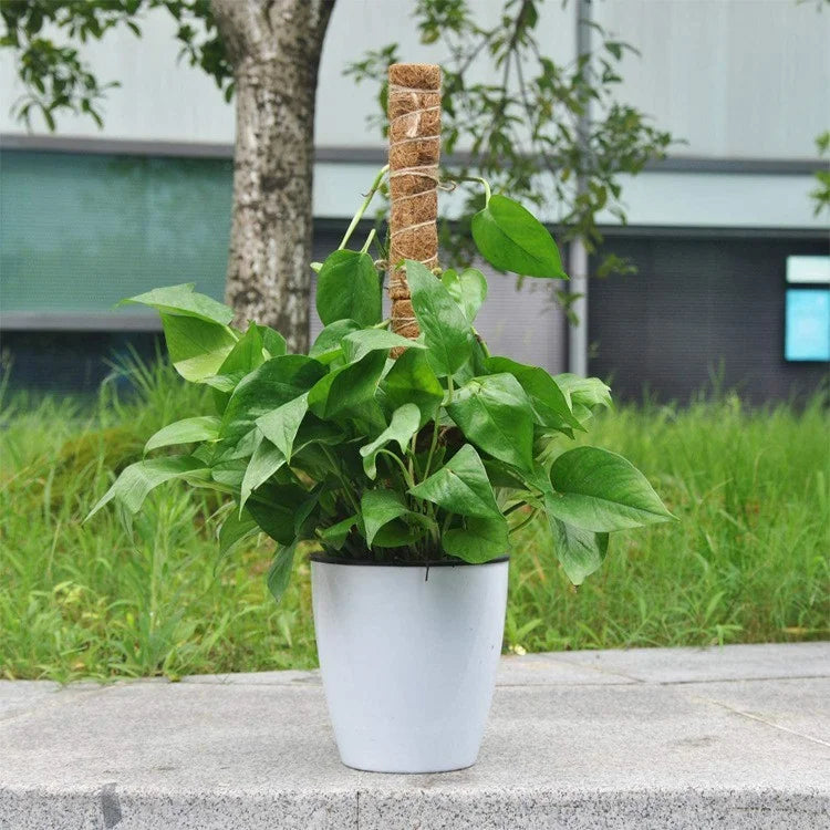 4Pcs 40cm Vine Climbing Coconut Palm Rod Plant Climbing Rod Plant Support Stick with Tools