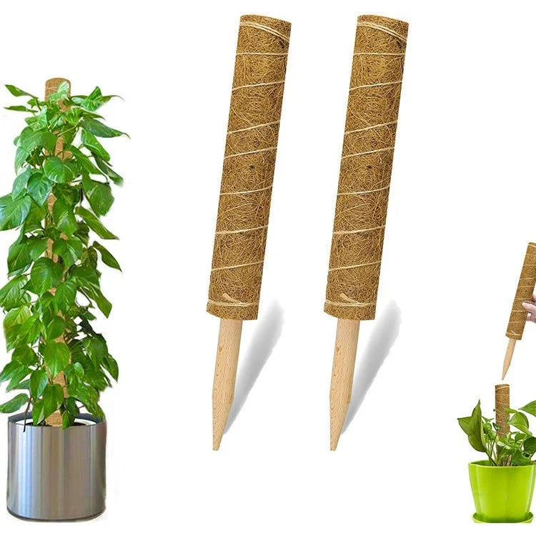 4Pcs 50cm Garden Plant Support Stick Plant Climbing Rod Vine Climbing Coconut Palm Rod with Tools