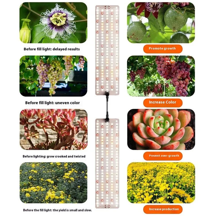 12V 3-Panel Plant Growing Light Plant Shelf Seedling Growth Fill Light, EU Plug