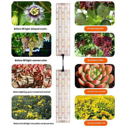 12V 3-Panel Plant Growing Light Plant Shelf Seedling Growth Fill Light, EU Plug