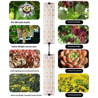 12V 2-Panel Plant Growing Light Potted Plants Shelf Seedling Growth Fill Light, EU Plug