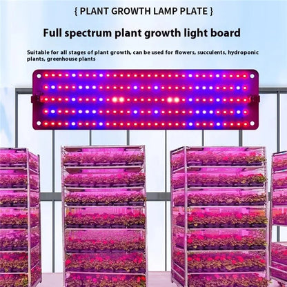 12V 2-Panel Plant Growing Light Potted Plants Shelf Seedling Growth Fill Light, EU Plug
