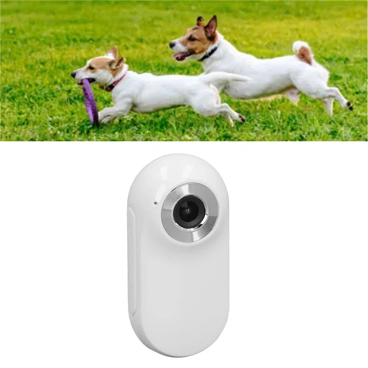 Cat Camera Collar with Video Record Wireless Mini Sport Camera Body Camera for Cat / Dog