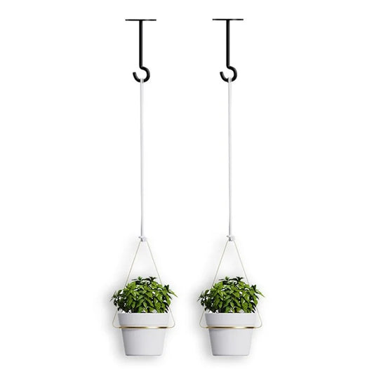 001-ZJY-ST2A ZJY-ST2 Detachable Hanging Flower Pots with Wall Hooks (2 Set)