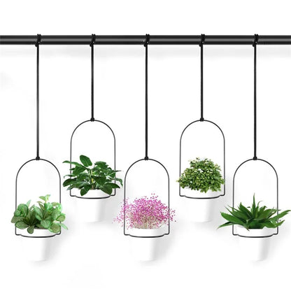 001- XG-5P Hanging Flower Pot 5-in-1 Wall Hanging Pothos Plant Basket