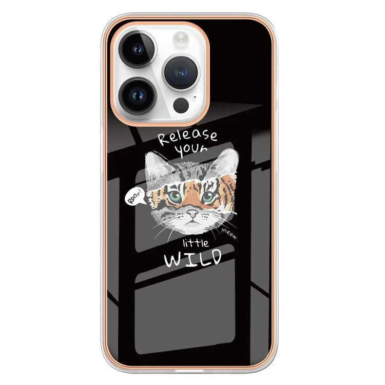 YB IMD Series-16 Style-E For iPhone 16 Pro TPU Case Pattern Printing Phone Back Cover