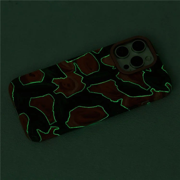 ARU For iPhone 16 Pro Max Case Oil Painting Design PC+TPU Noctilucent Phone Cover