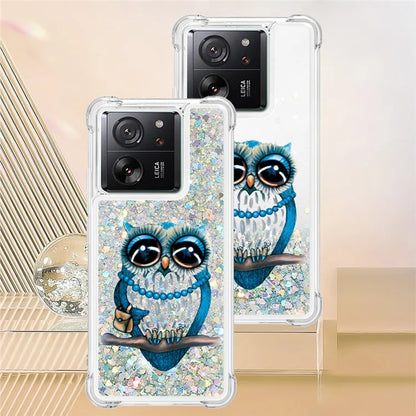 YB Quicksand Series-2 for Xiaomi 13T / 13T Pro / Redmi K60 Ultra Case Glitter Waterfall Pattern Phone Cover