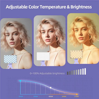V12A Portable Selfie Live Streaming LED Fill Light Phone Laptop Video Conference Fill Lamp