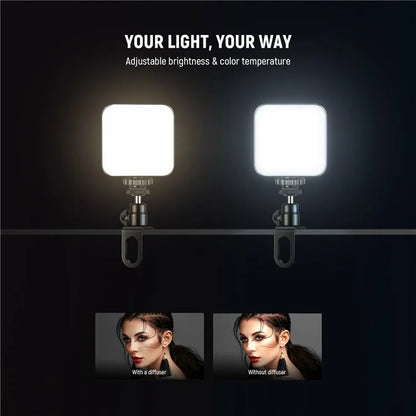 NEEWER PL81 Clip On Selfie Light for Phone / Laptop with Cold Shoe for Streaming Video Vlogging Lighting