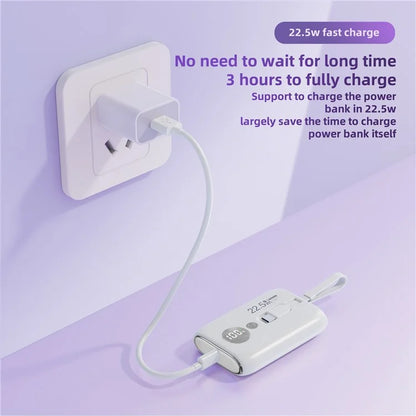 ROISKIN K0092 10000mAh Cabled Power Bank Digital Display Portable Phone Battery Pack