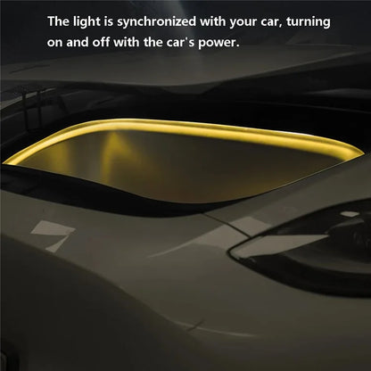 TSL802 For Model Y / 3 Magnetic Silicone LED Strip Light Decor Lamp Car Light