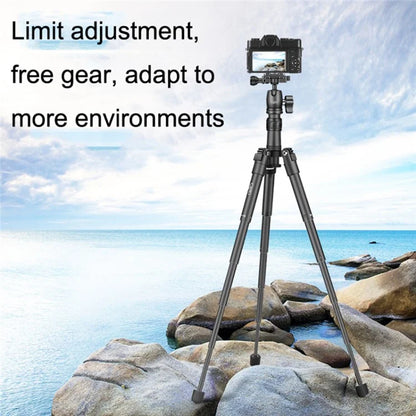 QZSD Q3110 SLR Camera Desktop Stand Aluminum Alloy Telescopic Live Streaming Photography Tripod