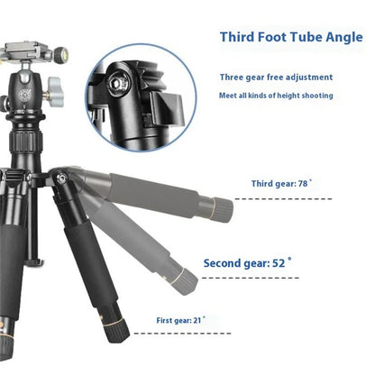 QZSD Q166D SLR Camera Desktop Stand Aluminum Alloy Telescopic Photography Tripod