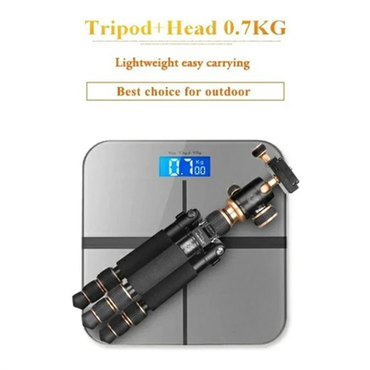 QZSD Q166 21-55cm Adjustable Height CNC Aluminum Alloy Mini Desktop Tripod with Ball Pan Head