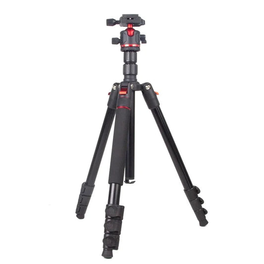 ZOMEI Q173 Camera Tripod 4-Section Retractable Multi-Function Tripod Micro SLR Mobile Phone Live Streaming Stand