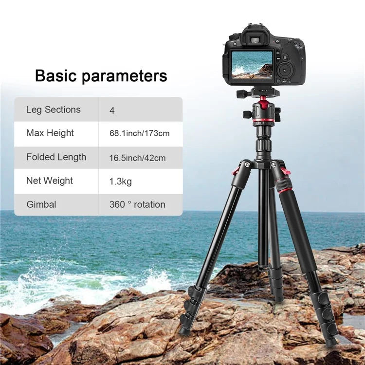 ZOMEI Q173 Camera Tripod 4-Section Retractable Multi-Function Tripod Micro SLR Mobile Phone Live Streaming Stand