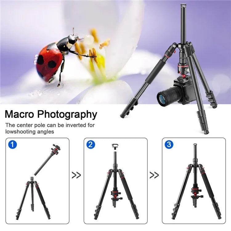 ZOMEI Q173 Camera Tripod 4-Section Retractable Multi-Function Tripod Micro SLR Mobile Phone Live Streaming Stand