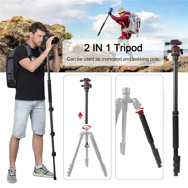 ZOMEI Q173 Camera Tripod 4-Section Retractable Multi-Function Tripod Micro SLR Mobile Phone Live Streaming Stand