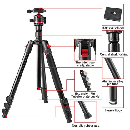 ZOMEI Q173 Camera Tripod 4-Section Retractable Multi-Function Tripod Micro SLR Mobile Phone Live Streaming Stand