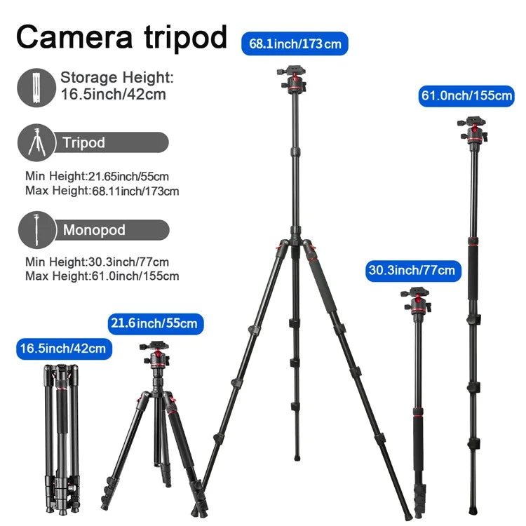 ZOMEI Q173 Camera Tripod 4-Section Retractable Multi-Function Tripod Micro SLR Mobile Phone Live Streaming Stand