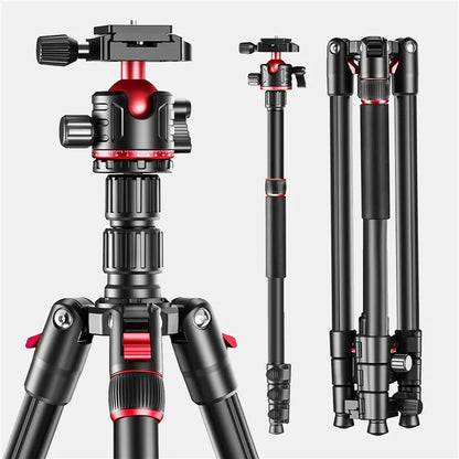 ZOMEI Q173 Camera Tripod 4-Section Retractable Multi-Function Tripod Micro SLR Mobile Phone Live Streaming Stand