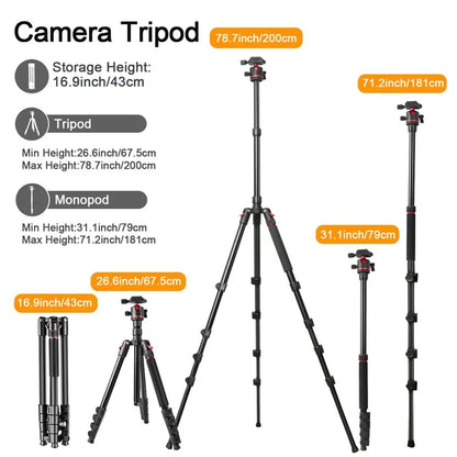 ZOMEI G200 Camera Tripod 2m 5-Section Multi-Function Folding Stand Universal Mobile Phone Live Broadcast Bracket