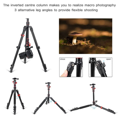 ZOMEI M5 Photo Camera Lightweight Travel Aluminum Tripod Monopod Compact Portable Photo 4-Section Tripod Stand, Black