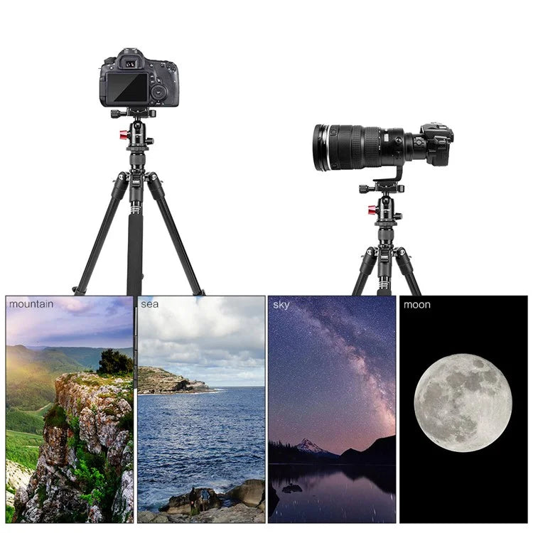 ZOMEI M6 Camera Tripod Mobile Phone Live Broadcast Bracket Aluminum Alloy 4-Section Tripod Stand