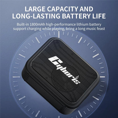 CYBORIS T2 Bluetooth Speaker Support TF Card / U Disk / AUX-In / Single Loop / Recording / FM