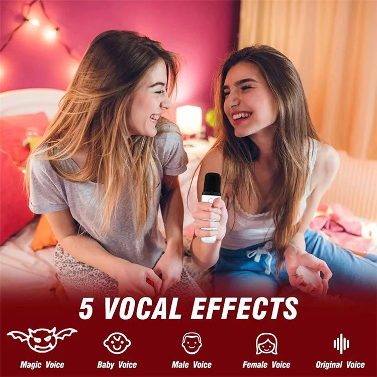 SD-508 Portable Karaoke Machine + 2 Wireless Microphones Bluetooth Speaker with Party Lights