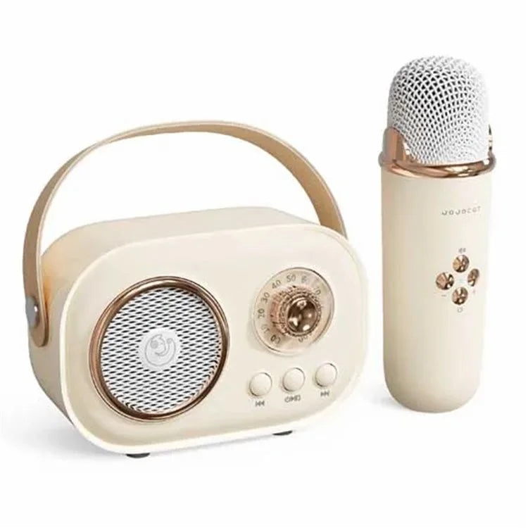 C20 Plus Home Karaoke Wireless Bluetooth Speaker Support TF Card, with Microphone