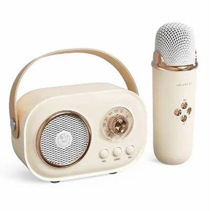 C20 Plus Home Karaoke Wireless Bluetooth Speaker Support TF Card, with Microphone