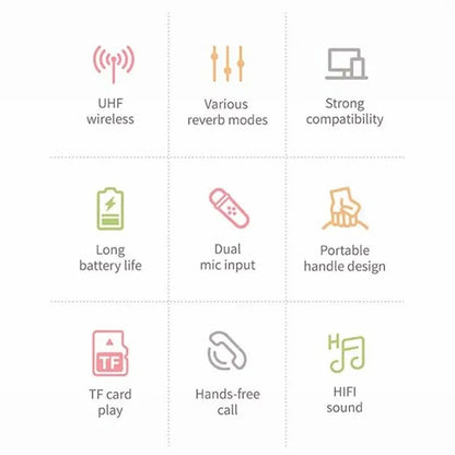 C20 Plus Home Karaoke Wireless Bluetooth Speaker Support TF Card, with Microphone