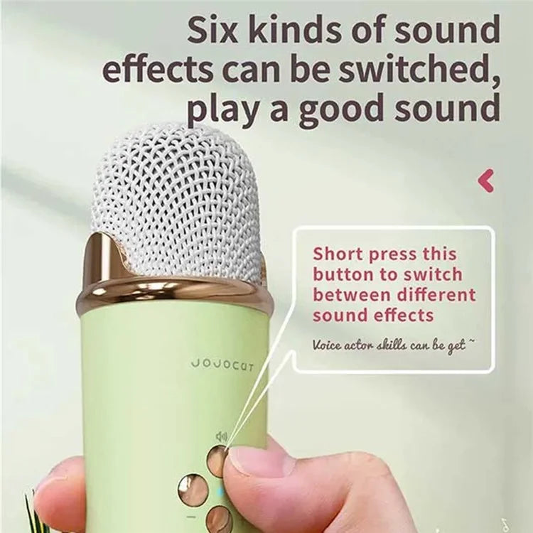 C20 Plus Home Karaoke Wireless Bluetooth Speaker Support TF Card, with Microphone
