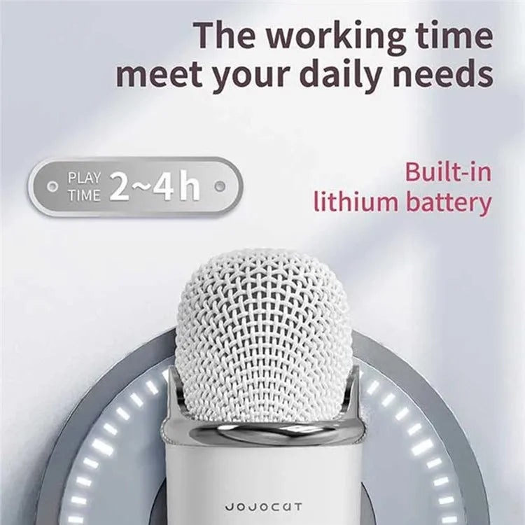 C20 Plus Home Karaoke Wireless Bluetooth Speaker Support TF Card, with Microphone
